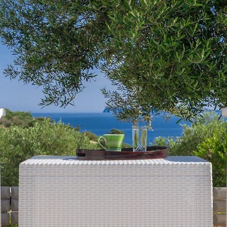 Villa Palma Sitia (Crete) Exterior foto
