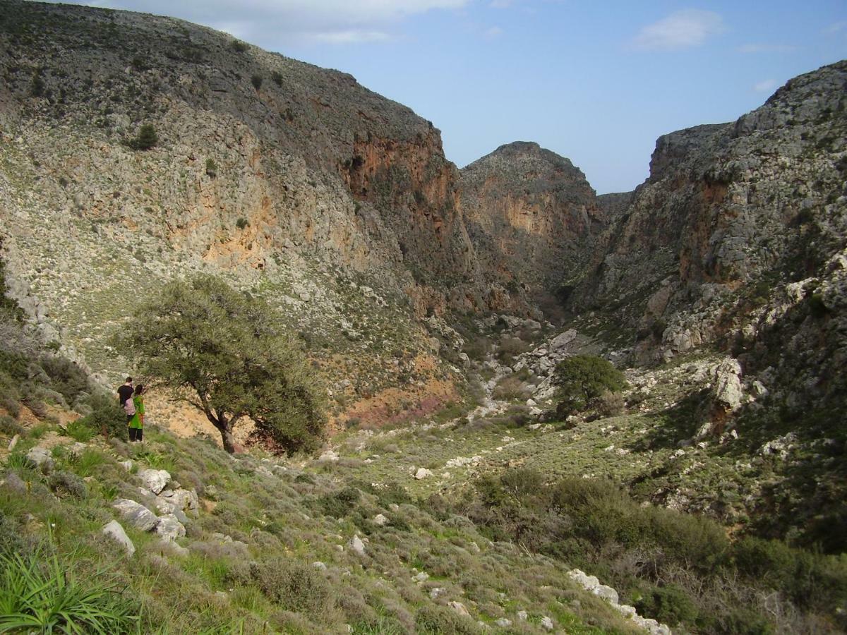 Villa Palma Sitia (Crete) Exterior foto
