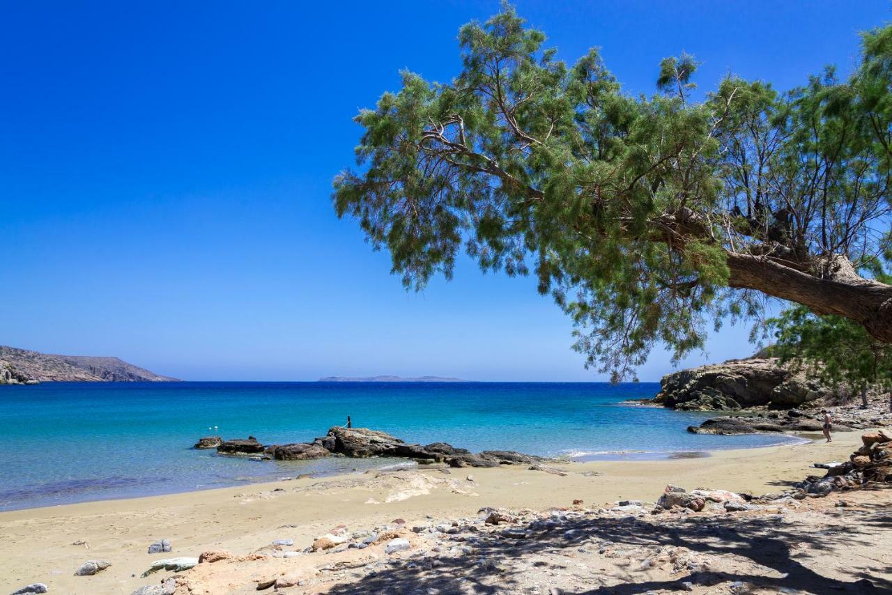 Villa Palma Sitia (Crete) Exterior foto