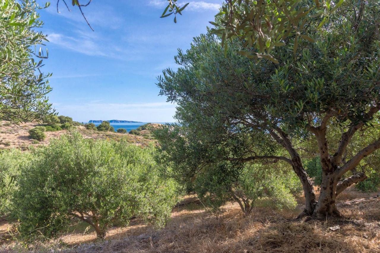 Villa Palma Sitia (Crete) Exterior foto